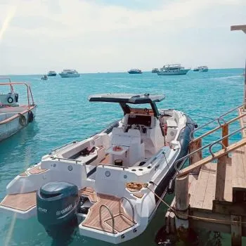 Private Speedboat Adventure